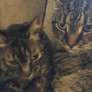 Meet your Posher, Jen